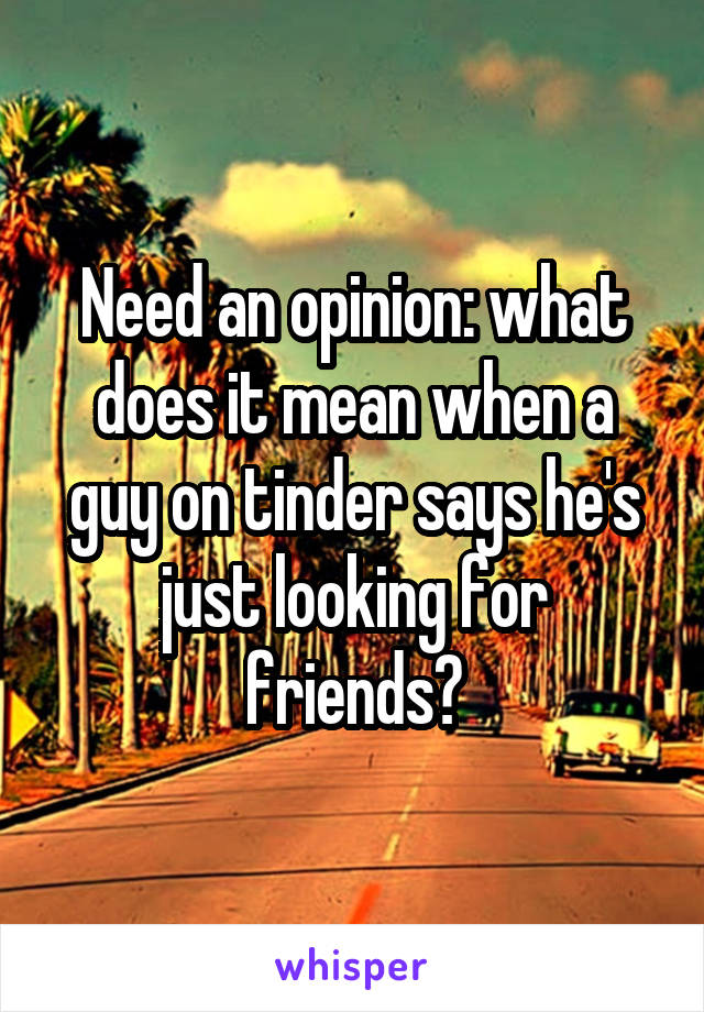 Need an opinion: what does it mean when a guy on tinder says he's just looking for friends?