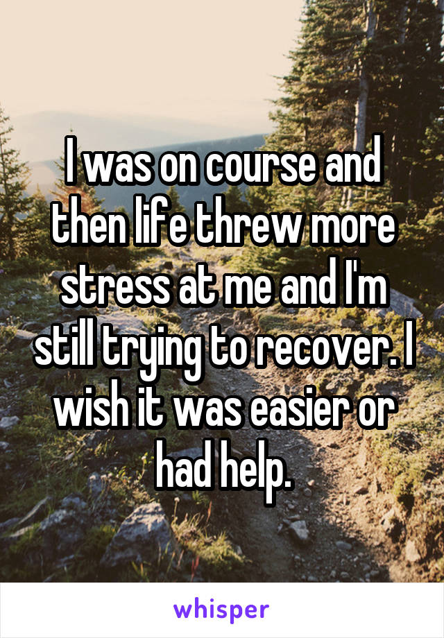 I was on course and then life threw more stress at me and I'm still trying to recover. I wish it was easier or had help.