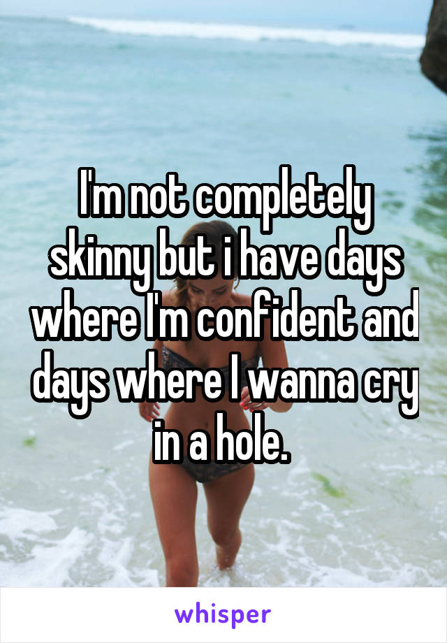 I'm not completely skinny but i have days where I'm confident and days where I wanna cry in a hole. 