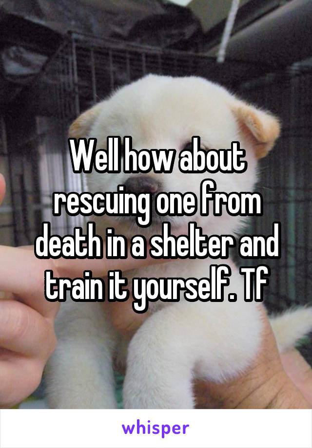 Well how about rescuing one from death in a shelter and train it yourself. Tf