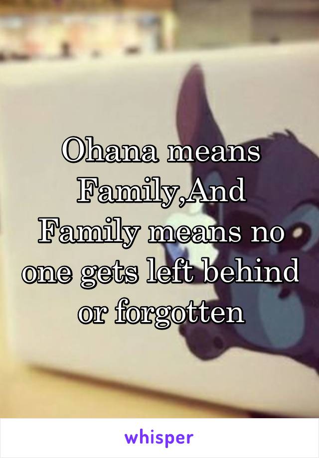 Ohana means Family,And Family means no one gets left behind or forgotten