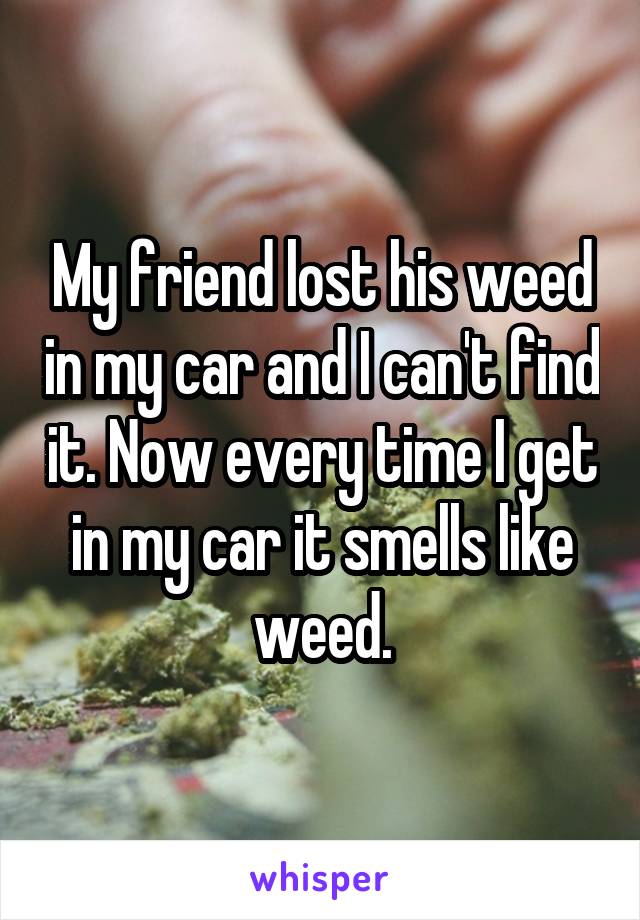 My friend lost his weed in my car and I can't find it. Now every time I get in my car it smells like weed.