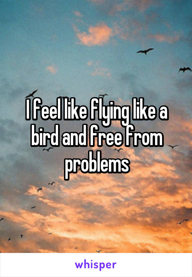 I feel like flying like a bird and free from problems