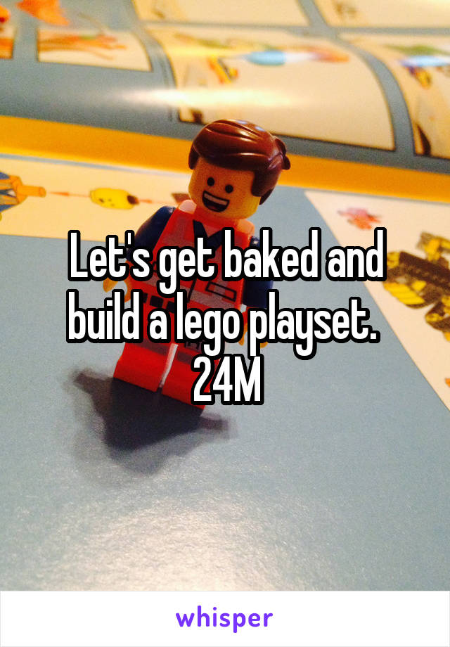 Let's get baked and build a lego playset. 
24M