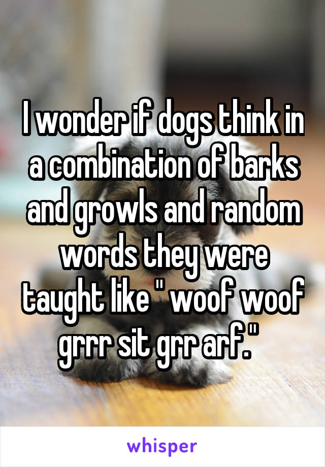 I wonder if dogs think in a combination of barks and growls and random words they were taught like " woof woof grrr sit grr arf."  