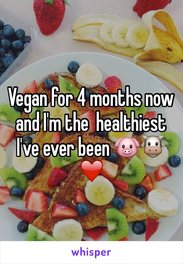 Vegan for 4 months now and I'm the  healthiest I've ever been 🐷🐮❤️ 