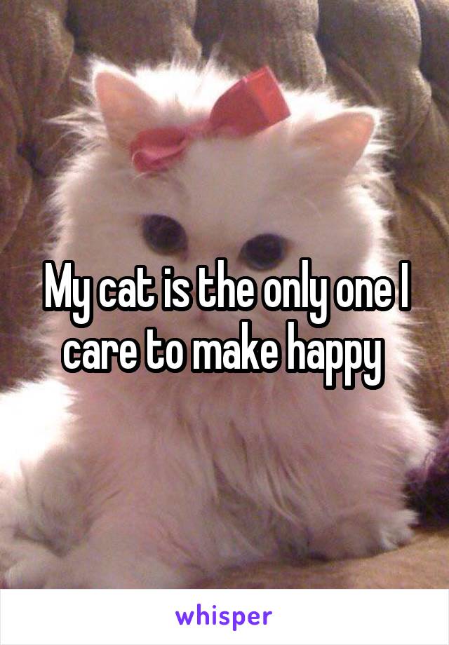 My cat is the only one I care to make happy 