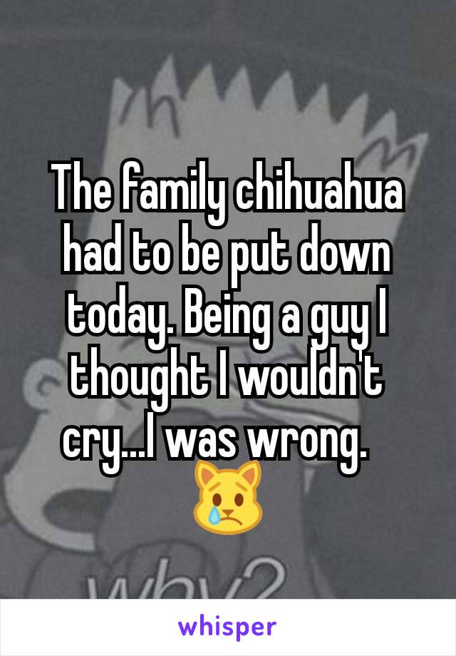 The family chihuahua had to be put down today. Being a guy I thought I wouldn't cry...I was wrong.?😿