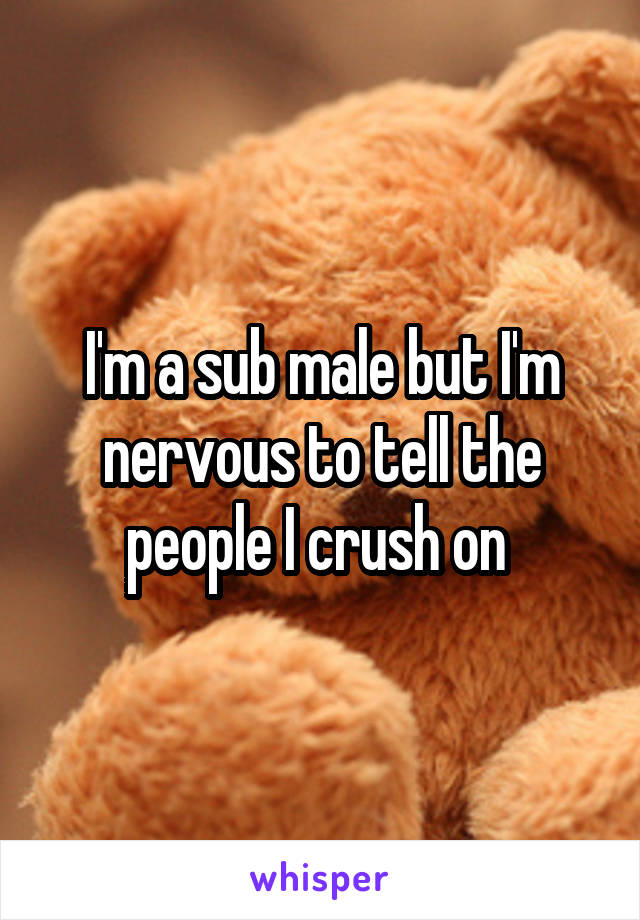 I'm a sub male but I'm nervous to tell the people I crush on 