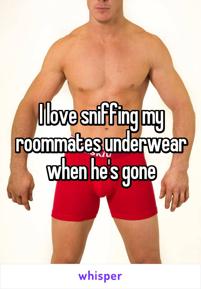 I love sniffing my roommates underwear when he's gone