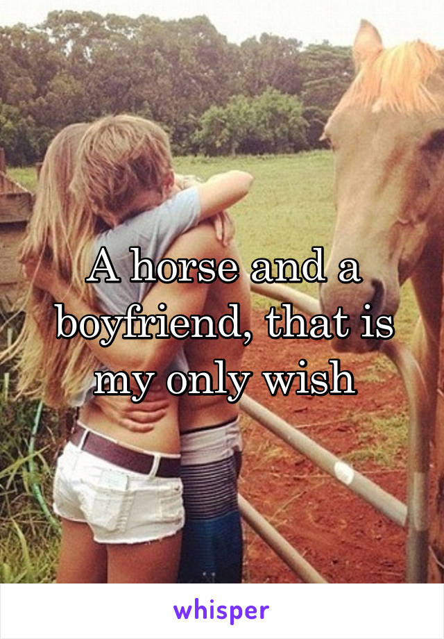 A horse and a boyfriend, that is my only wish