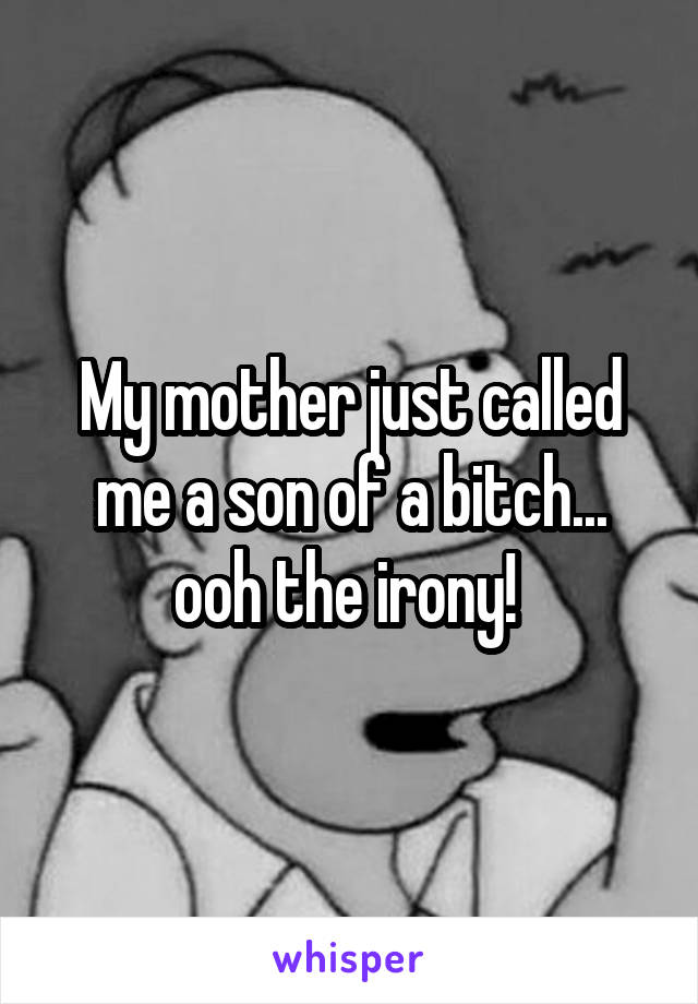 My mother just called me a son of a bitch... ooh the irony! 