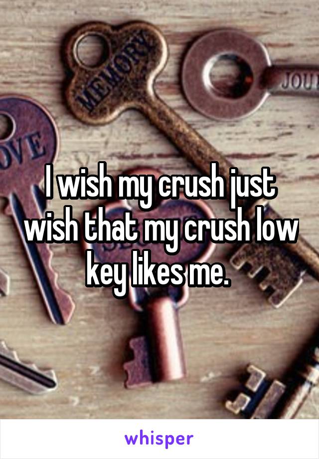 I wish my crush just wish that my crush low key likes me. 