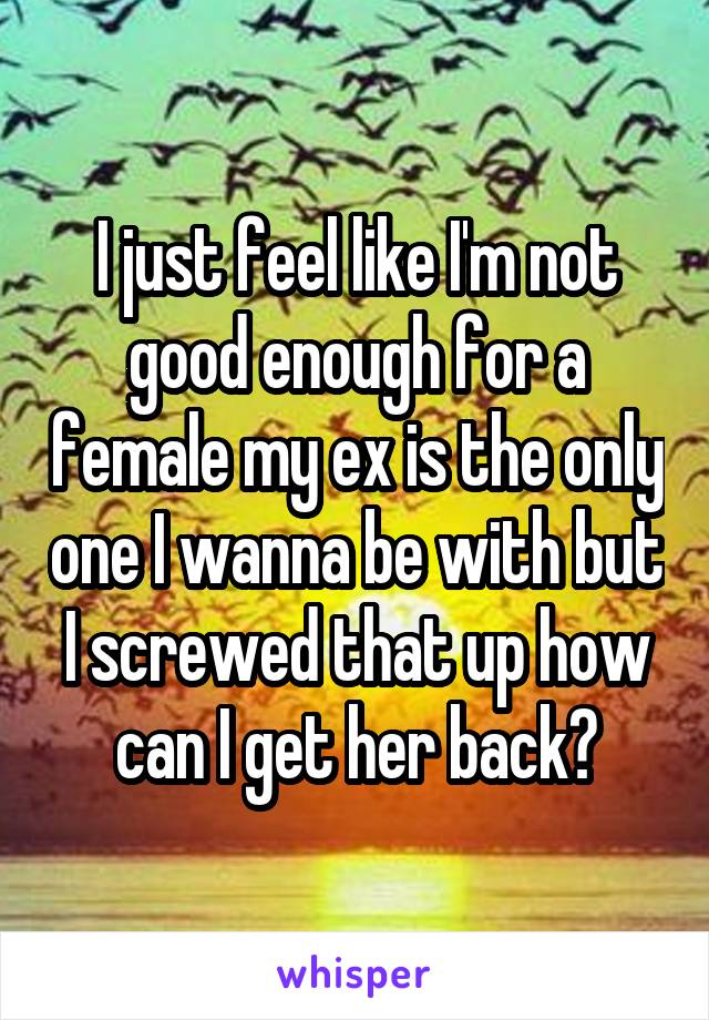 I just feel like I'm not good enough for a female my ex is the only one I wanna be with but I screwed that up how can I get her back?