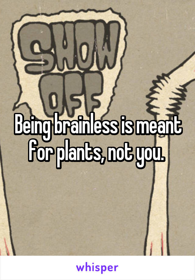 Being brainless is meant for plants, not you. 