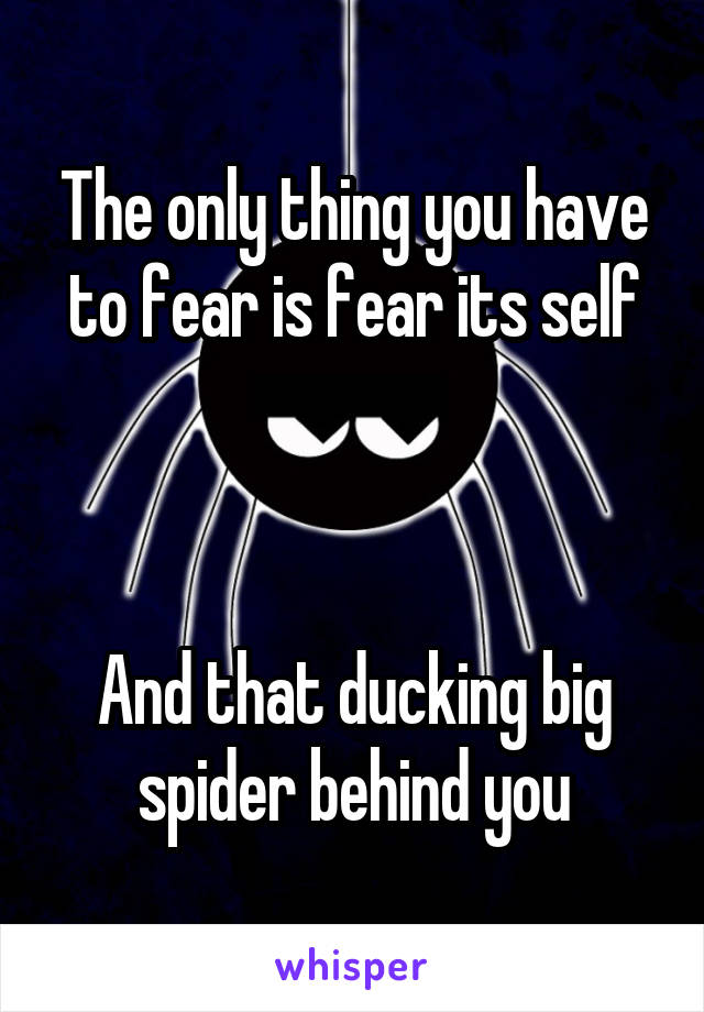 The only thing you have to fear is fear its self



And that ducking big spider behind you