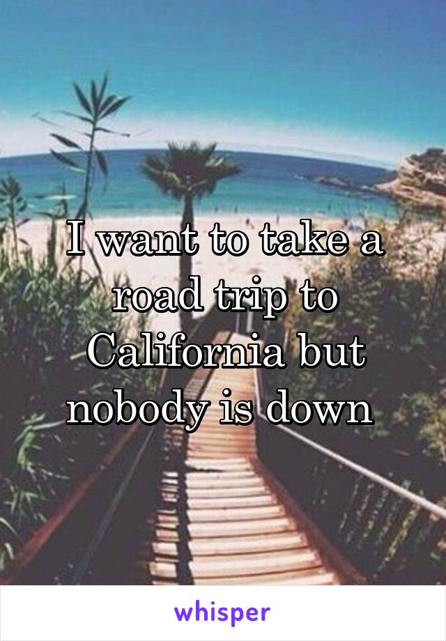 I want to take a road trip to California but nobody is down 