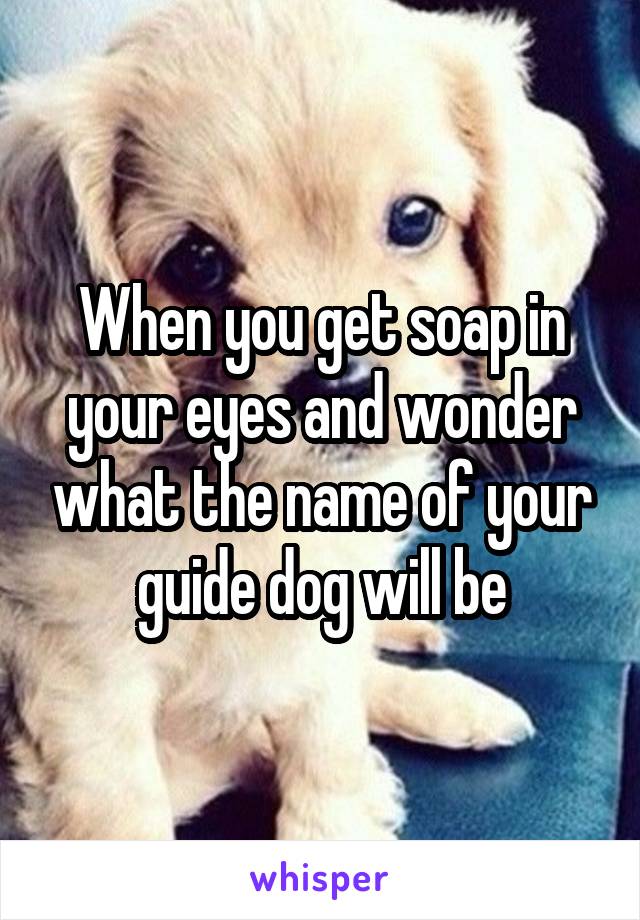 When you get soap in your eyes and wonder what the name of your guide dog will be