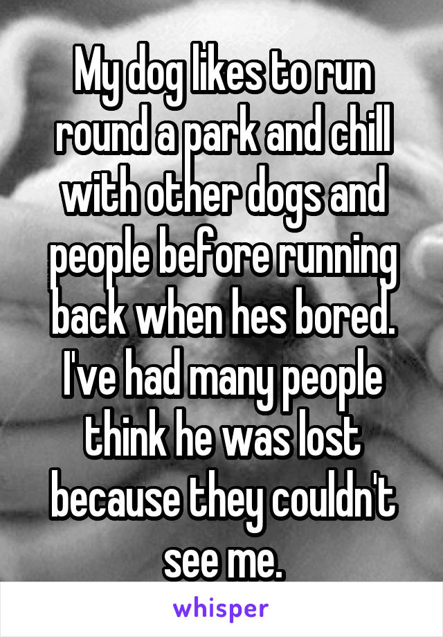 My dog likes to run round a park and chill with other dogs and people before running back when hes bored. I've had many people think he was lost because they couldn't see me.