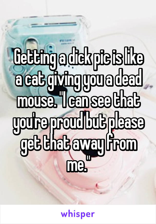 Getting a dick pic is like a cat giving you a dead mouse. "I can see that you're proud but please get that away from me."