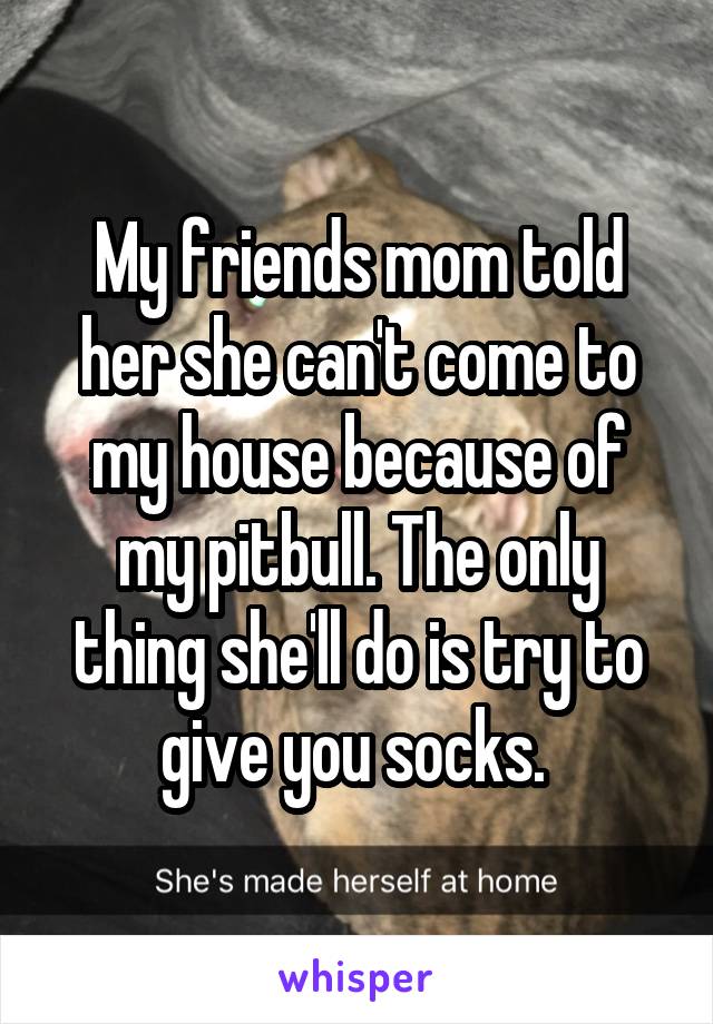 My friends mom told her she can't come to my house because of my pitbull. The only thing she'll do is try to give you socks. 