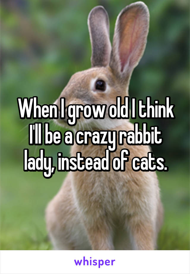 When I grow old I think I'll be a crazy rabbit lady, instead of cats.