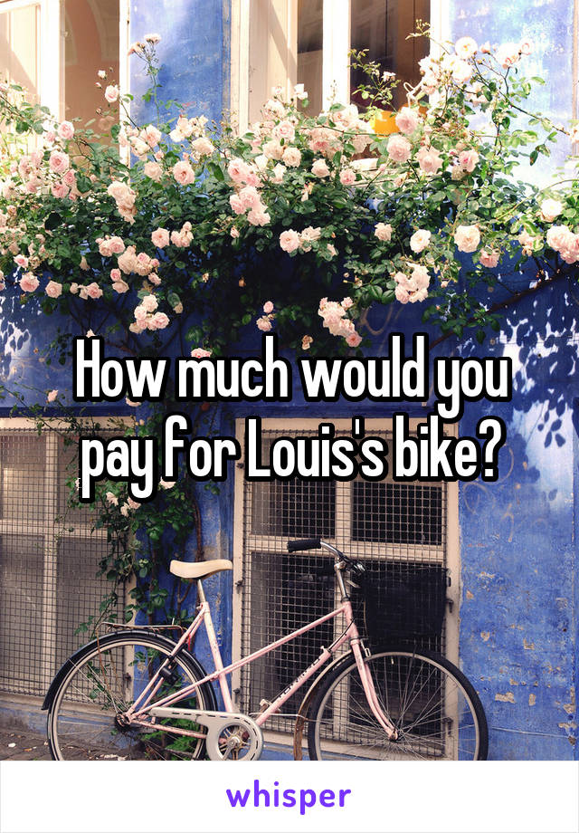 How much would you pay for Louis's bike?