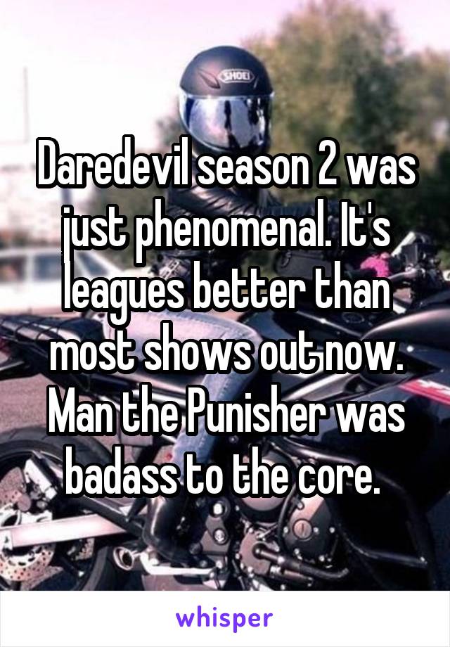 Daredevil season 2 was just phenomenal. It's leagues better than most shows out now. Man the Punisher was badass to the core. 