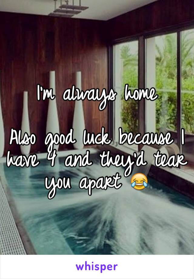 I'm always home 

Also good luck because I have 4 and they'd tear you apart 😂