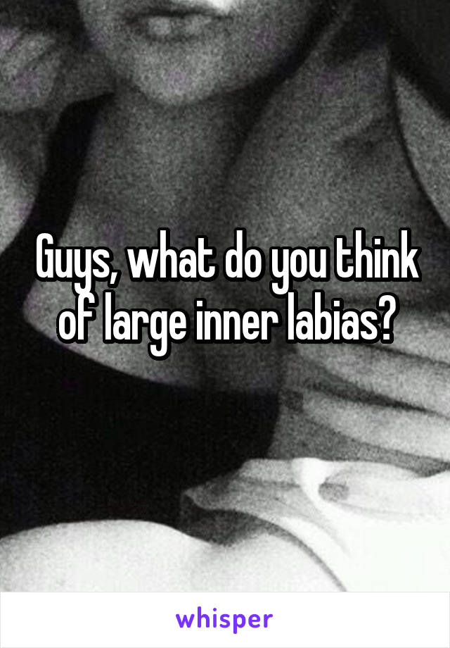 Guys, what do you think of large inner labias?
