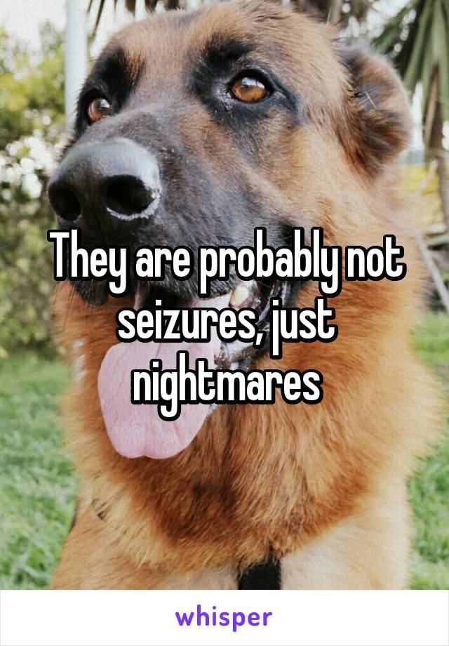 They are probably not seizures, just nightmares