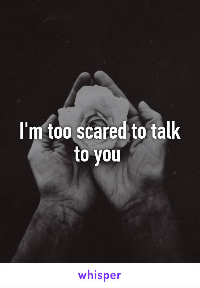 I'm too scared to talk to you 