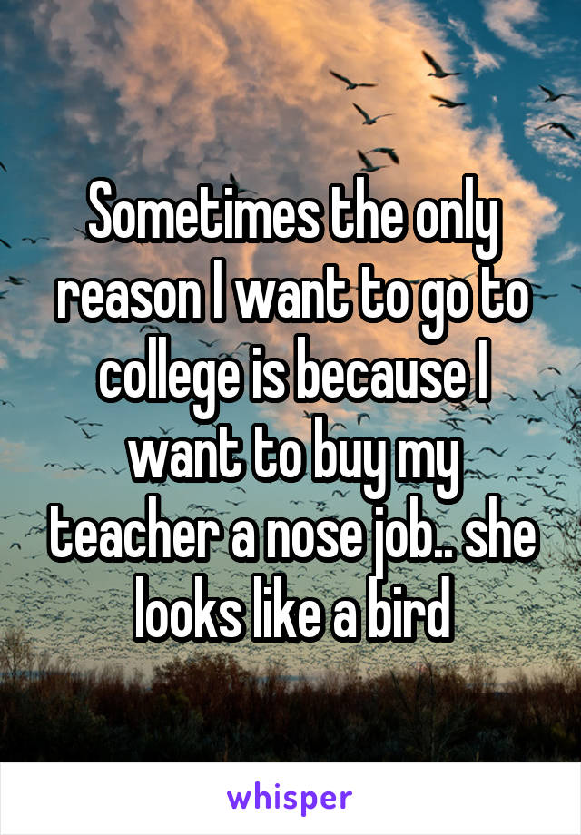 Sometimes the only reason I want to go to college is because I want to buy my teacher a nose job.. she looks like a bird