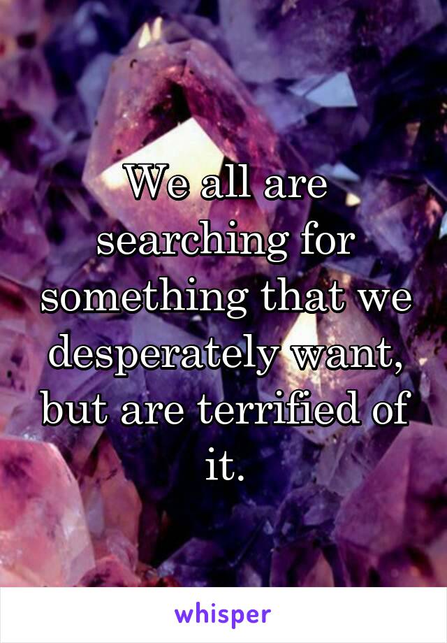 We all are searching for something that we desperately want, but are terrified of it.