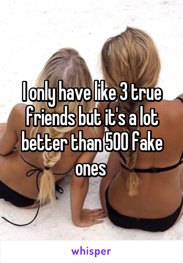 I only have like 3 true friends but it's a lot better than 500 fake ones 