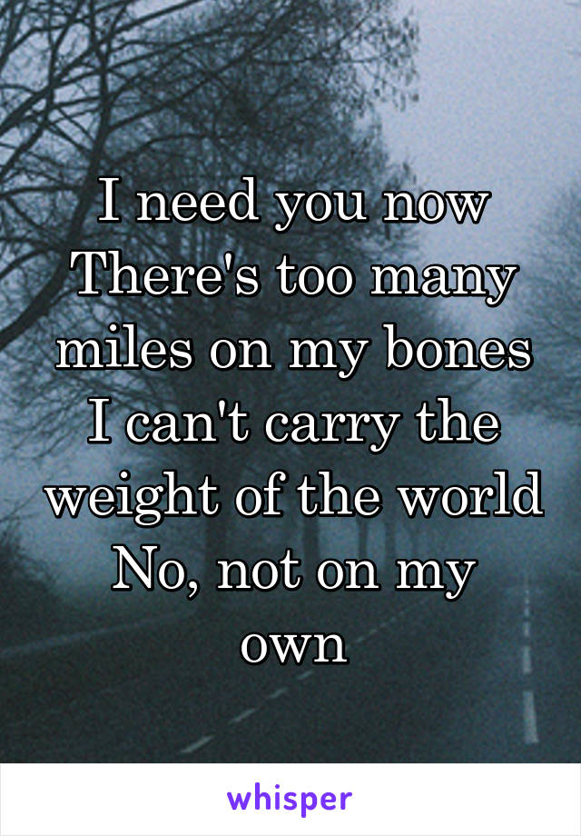 I need you now
There's too many miles on my bones
I can't carry the weight of the world
No, not on my own