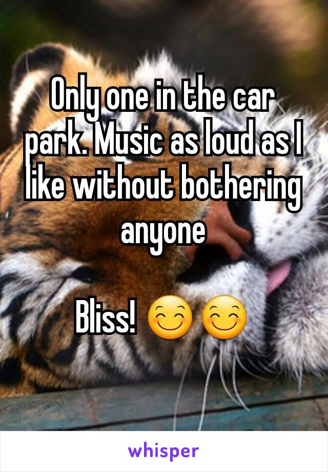 Only one in the car park. Music as loud as I like without bothering anyone

Bliss! 😊😊