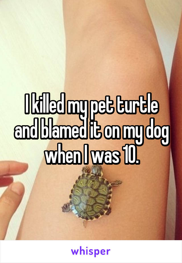 I killed my pet turtle and blamed it on my dog when I was 10.