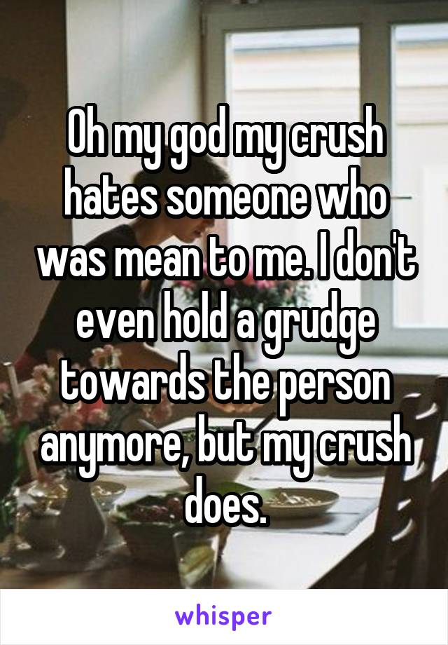 Oh my god my crush hates someone who was mean to me. I don't even hold a grudge towards the person anymore, but my crush does.