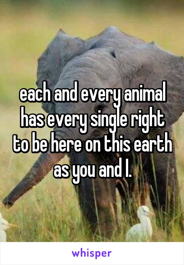 each and every animal has every single right to be here on this earth as you and I.