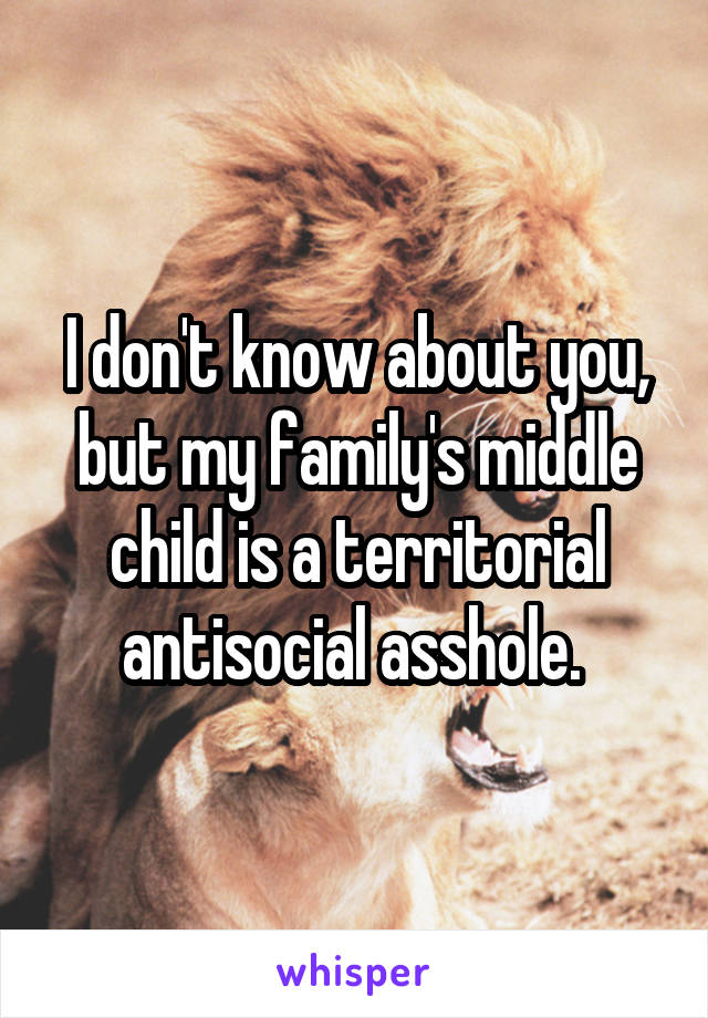 I don't know about you, but my family's middle child is a territorial antisocial asshole. 