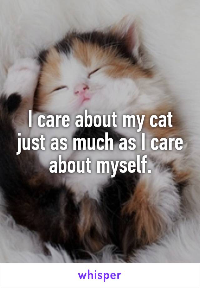 I care about my cat just as much as I care about myself.