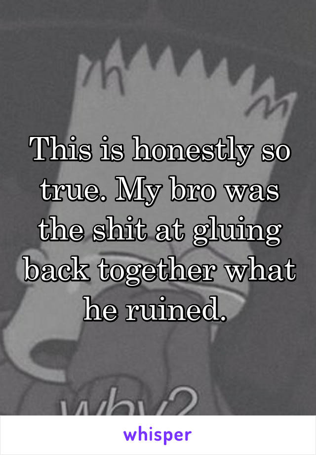 This is honestly so true. My bro was the shit at gluing back together what he ruined. 