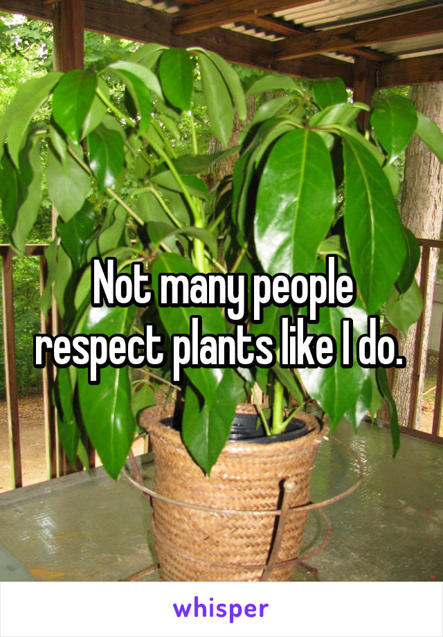 Not many people respect plants like I do. 