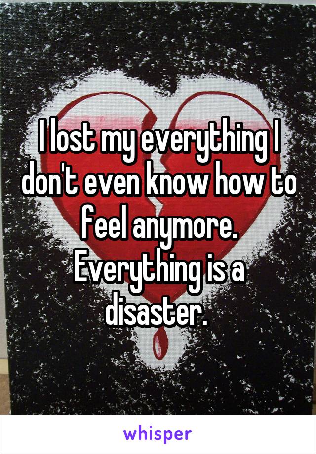 I lost my everything I don't even know how to feel anymore. Everything is a disaster. 