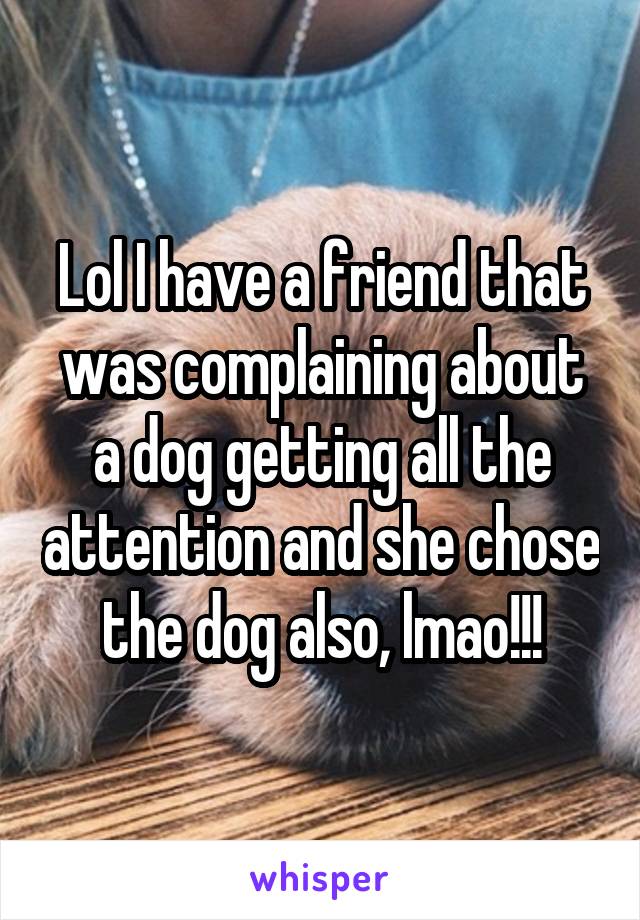 Lol I have a friend that was complaining about a dog getting all the attention and she chose the dog also, lmao!!!