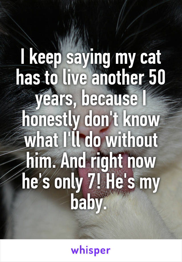 I keep saying my cat has to live another 50 years, because I honestly don't know what I'll do without him. And right now he's only 7! He's my baby. 