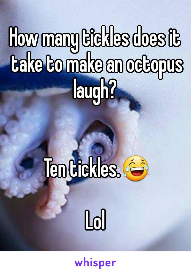 How many tickles does it take to make an octopus laugh? 


 Ten tickles.😂

Lol