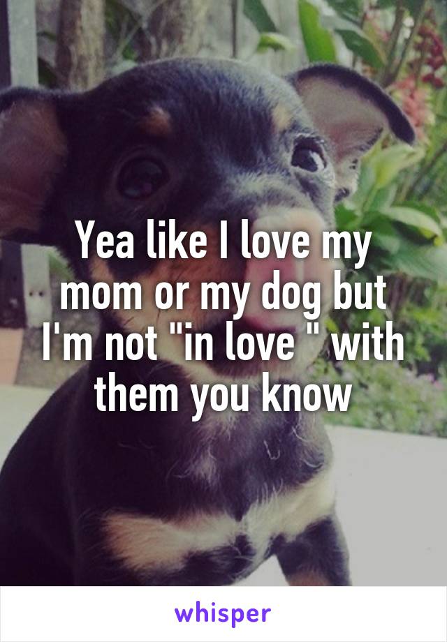 Yea like I love my mom or my dog but I'm not "in love " with them you know