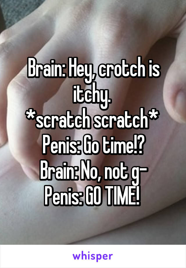 Brain: Hey, crotch is itchy. 
*scratch scratch* 
Penis: Go time!?
Brain: No, not g-
Penis: GO TIME! 